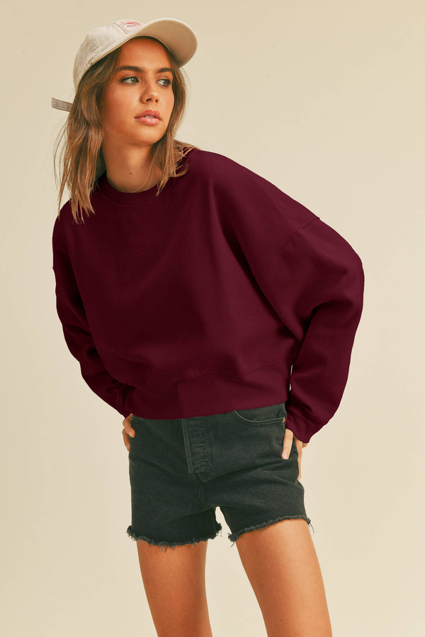 Short Cropped Long Sleeve Sweatshirt